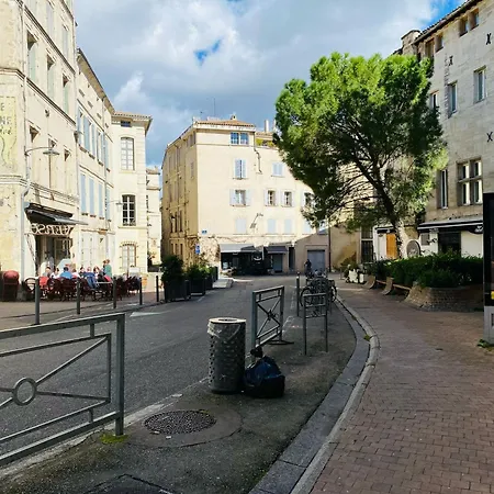 Joli T2 Intra-muros Proche Palais Des Papes Le D'agnes Apartment